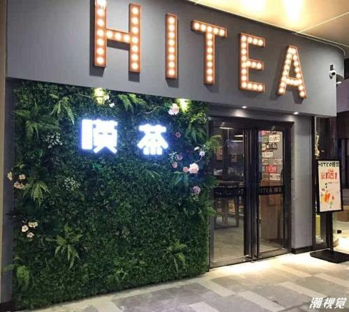 看球体育